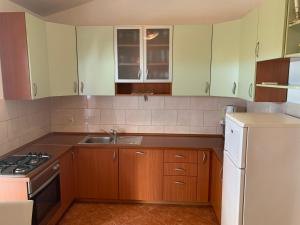 Kuchyň nebo kuchyňský kout v ubytování Apartment Lena