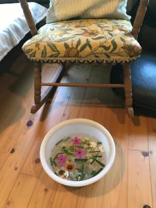 a bowl of water on the floor next to a chair at Travelers House おーさんてぃん青空舎 in Taketomi