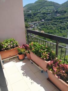 balkon z kwiatami i widokiem w obiekcie B&B ANTONIETTA w mieście Vico Equense