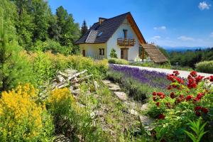 Afbeelding uit fotogalerij van Leśny dom górska chata in Wysoka