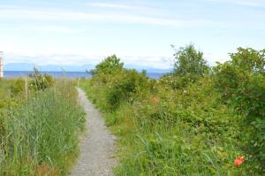 a path through a field of grass and weeds at Estuary House Reflexology B&B in Courtenay