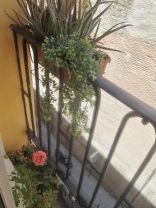 a balcony with potted plants on a railing at Apartamento en el Rastro in Madrid