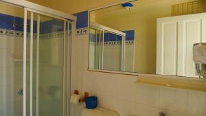 ein Bad mit einer Dusche, einem WC und einem Spiegel in der Unterkunft Watersedge Motel in Woy Woy