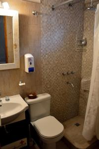 a bathroom with a toilet and a sink and a shower at Holiday Home Las Retamas in San Martín de los Andes