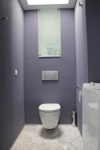 a bathroom with a white toilet and a mirror at Apartamentos Coronado in Málaga