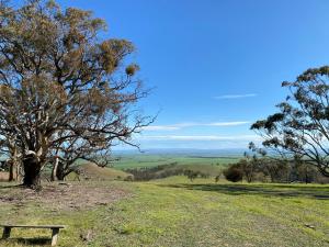 a bench sitting on top of a hill with a tree at Windmill Cottage in Clare