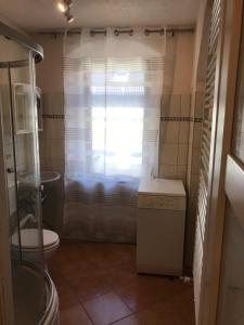 Ένα μπάνιο στο Apartments at Old Town Bridge Altstadt, Elbestrand, Fahrradweg, Schiffsanleger +81 φωτογραφίες