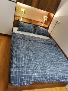Säng eller sängar i ett rum på Filip&Yana Apartment