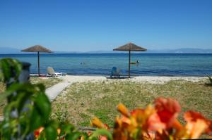Táj az apartmanhotel közelében
