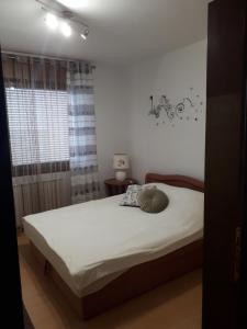 um quarto com uma cama e uma janela em Apartman Panorama em Vukovar