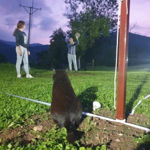 un hombre y un oso de pie en un campo en Domaćinstvo Filipović, en Rakovica 66 fotos más