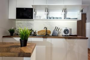 Kuchyňa alebo kuchynka v ubytovaní SKY APARTMENTS POZNAŃ