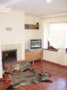 a living room with a fireplace and a tv at Zubrzyk in Łukęcin