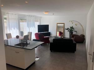 TV a/nebo společenská místnost v ubytování Hotel Hippel Krone