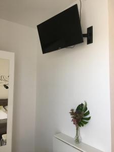 TV a/nebo společenská místnost v ubytování Pension Seeblick Latzko