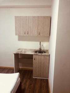 een kleine keuken met een wastafel in de kamer bij Mini Hotel Sevan in Sevan