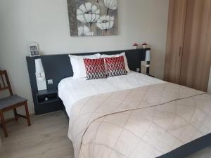 - une chambre avec un grand lit et des oreillers rouges dans l'établissement Achter de Beukenboom, à Roden