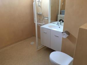 a bathroom with a white toilet and a sink at Centre Jean XXIII in Annecy