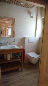 ein Bad mit einem Waschbecken und einem WC in der Unterkunft Appartement Douglasie dans une ferme avec étang privé dans la région des mille étangs, Faucogney-et-La-Mer in Faucogney-et-la-Mer