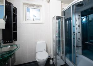uma casa de banho com um WC e uma cabina de duche em vidro. em Apt 202 - Andenes Whale Safari Apartments em Andenes