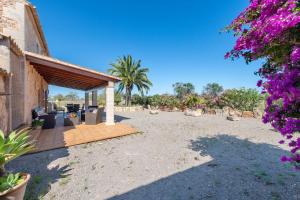 A garden outside Can Miquel