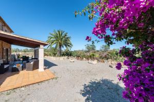 A garden outside Can Miquel
