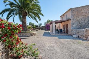 A garden outside Can Miquel