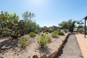 A garden outside Can Miquel