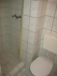 a bathroom with a toilet and a shower at Hotel Janina in Rytro