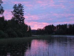 zachód słońca nad jeziorem z drzewem w środku w obiekcie stuga Björn w mieście Vigge