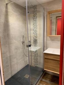 La salle de bains est pourvue d'une douche avec une porte en verre. dans l'établissement L'Olympic - T2 - Pied des pistes - 40 m2 - WIFI, à Val Thorens