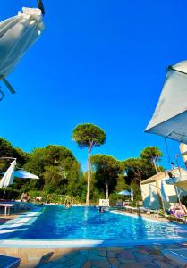 uma piscina com uma palmeira ao fundo em Le Dune Verdi em Lido di Jesolo