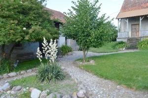 Zahrada ubytování Ekskluzywny apartament na warmińskiej wsi Tłokowo-Mikułowo