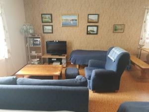 a living room with blue couches and a tv at Wanha Havon Koulu yksiö in Savitaipale