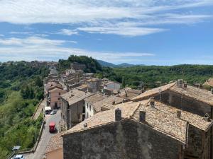 an aerial view of a town with buildings at B&brown in Bomarzo