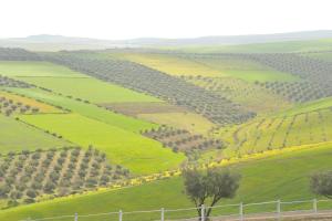 Imagen de la galería de Terre De Traces Ecolodge, en Sefrou