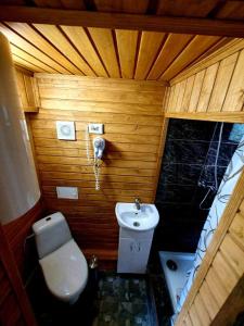 Gallery image of Rakhiv Plai in Rakhiv +179 photos