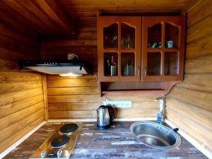 a small kitchen with a sink and a stove at Rakhiv Plai in Rakhiv