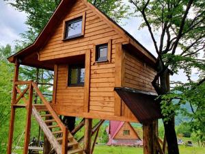 a tree house in a tree at Rakhiv Plai in Rakhiv