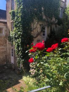 a group of red roses in front of a building at Studio dans une grande maison médiévale au centre historique de Laval in Laval