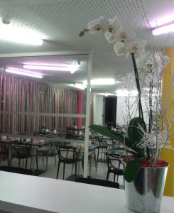 Restaurace v ubytování Nex Hôtel