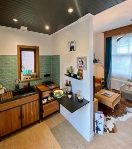 a kitchen and living room with a counter top at My Little Roubaix in Roubaix