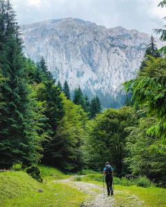 a person walking on a path in the mountains at Apartament One Divine - Zarnesti in Zărneşti