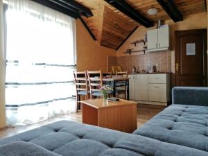 Kuchyň nebo kuchyňský kout v ubytování Apartment Tarski konaci