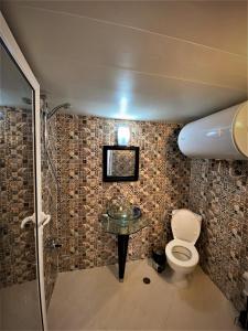 a bathroom with a toilet and a sink and a shower at Цяла Ваканционна Къща- Florina Houses in Goranovtsi