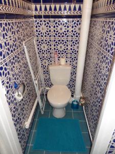 a toilet in a bathroom with blue and white tiles at Studio L'AZULEJOS in Le Havre