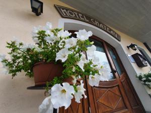Fotografie z fotogalerie ubytování Hotel Ristorante Château v destinaci Aymavilles