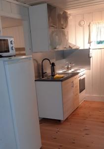 eine Küche mit einer Spüle und einem Kühlschrank in der Unterkunft Granheim Hytte med 2 soverom in Birkeland