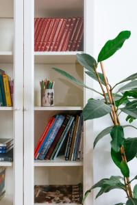 półka pełna książek obok rośliny w obiekcie Comfortable & Spacious Lodz City Center Apartment w Łodzi