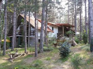 a house in the middle of a forest at Guesthouse Bajka in Vinci